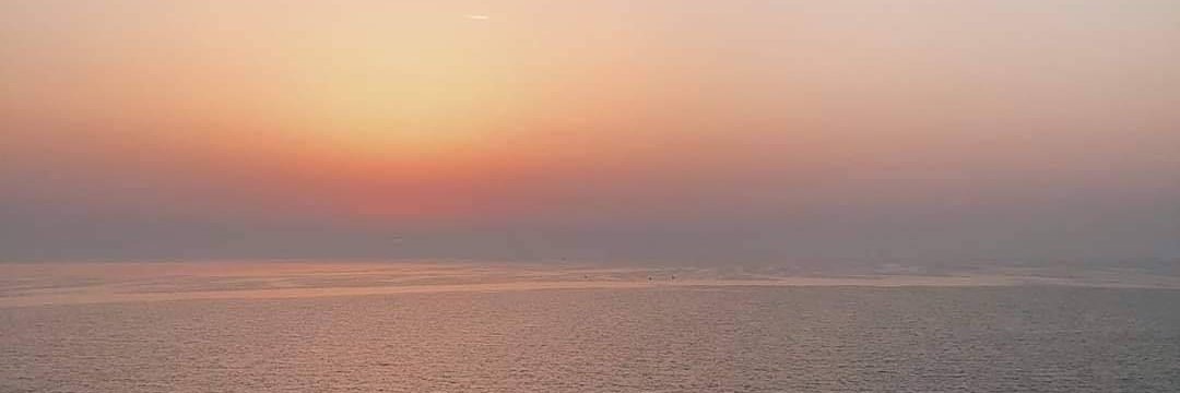 allenpids's profile banner image