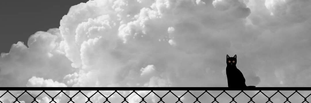 ildefonsaaa's profile banner image