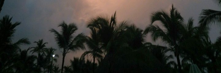 MichaelDavila80's profile banner image