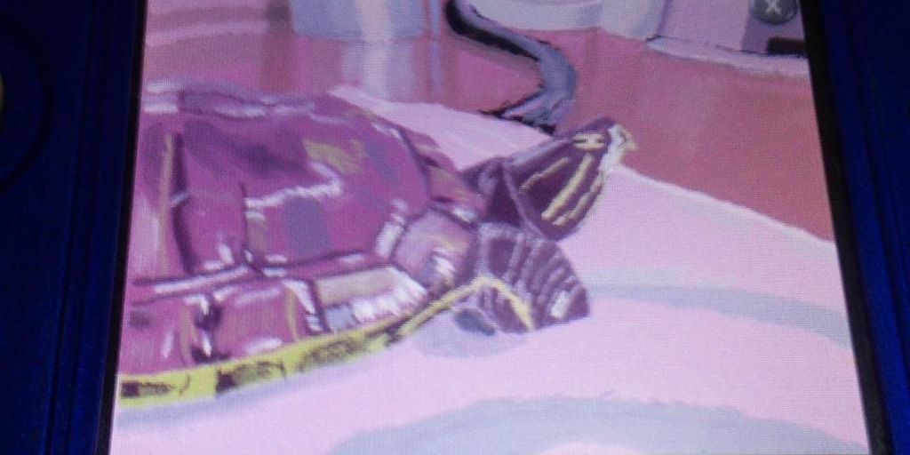 Sケープ banner