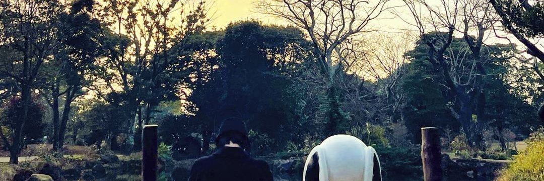 Leaylin's profile banner image