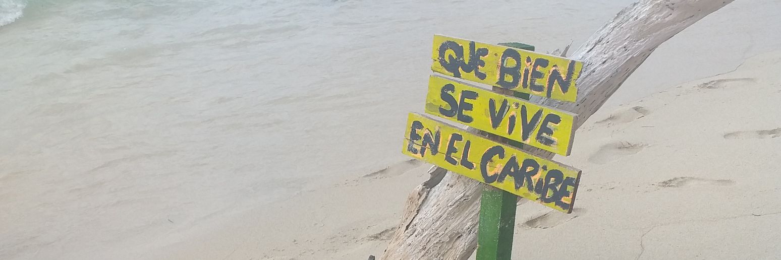 Flor 🌼 banner