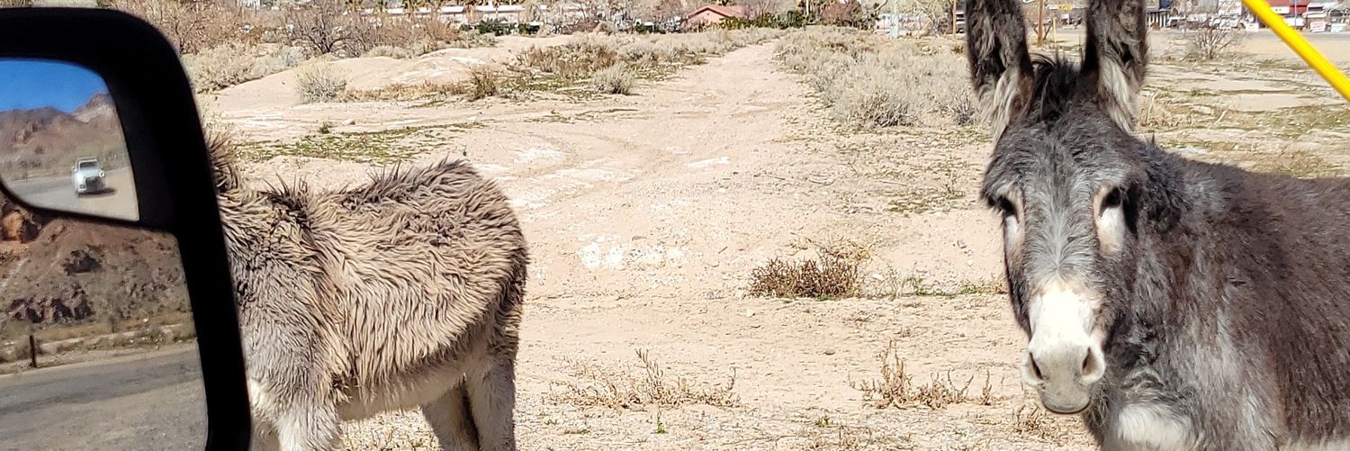 breakingbad702's profile banner image