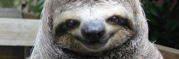 Donnie_Azoffff Profile Banner