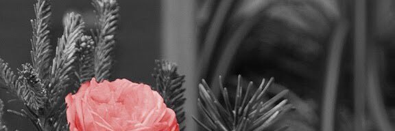S_od22's profile banner image