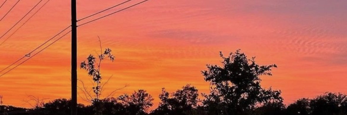 picaflo🇿🇦 banner