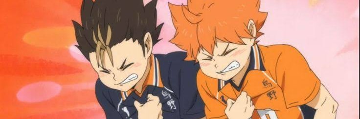 Astelle banner