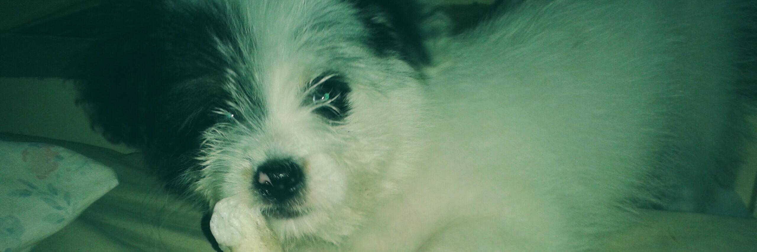 izzymordz's profile banner image