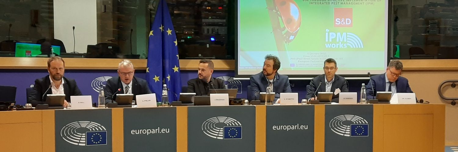 Joaquín Balduque banner