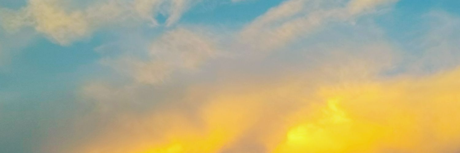 Tiina Mertanen banner