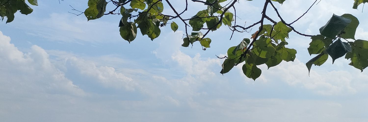 h.W 🦁 banner
