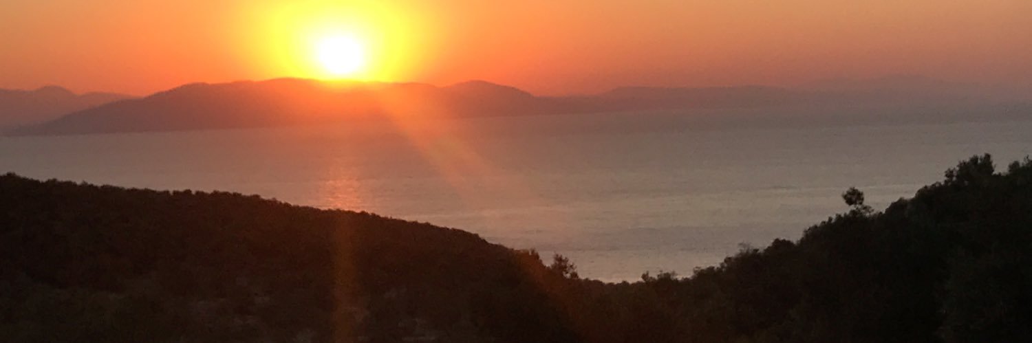 dilektore's profile banner image