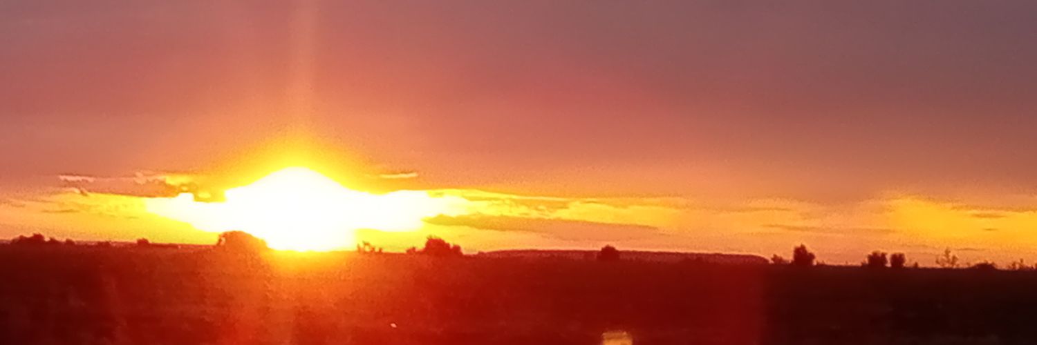 RaduDanielaCor1's profile banner image