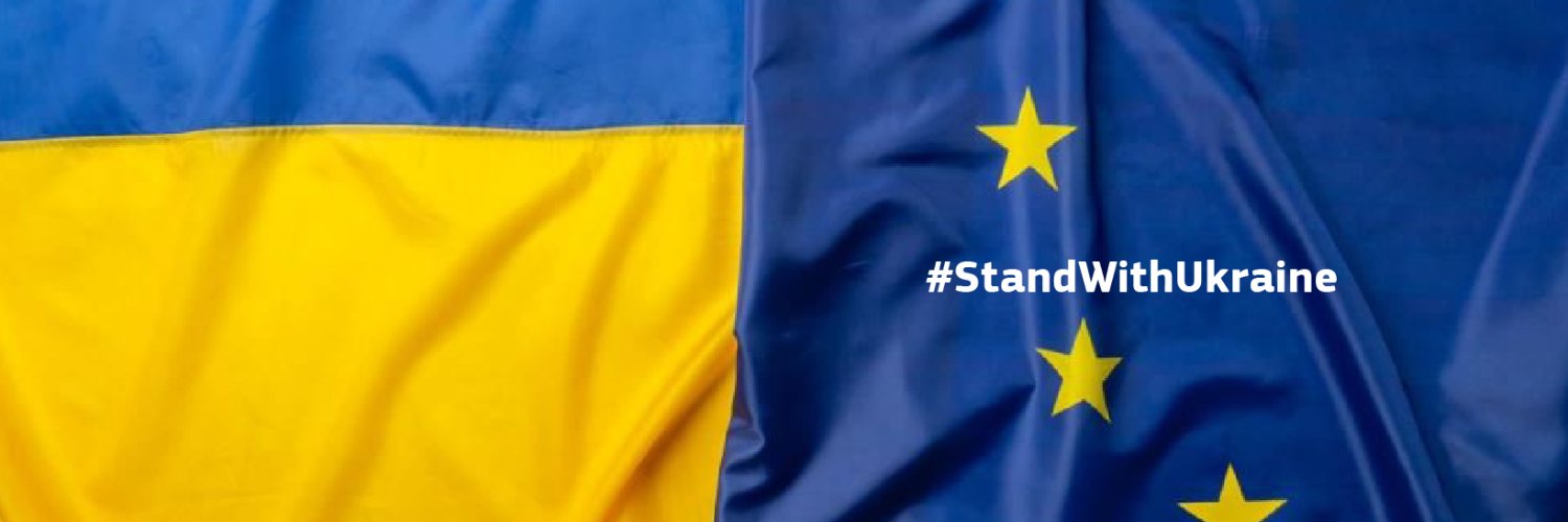 EU Delegation to CoE banner