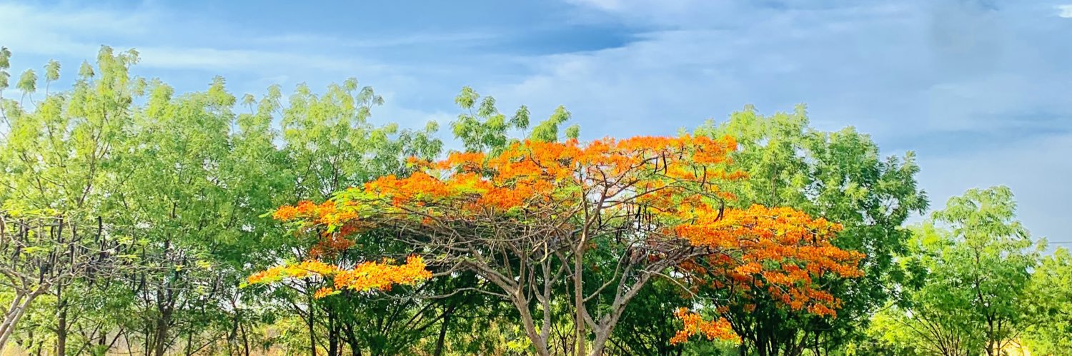 Dat Black Boy banner