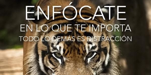 nerecastro3's profile banner image