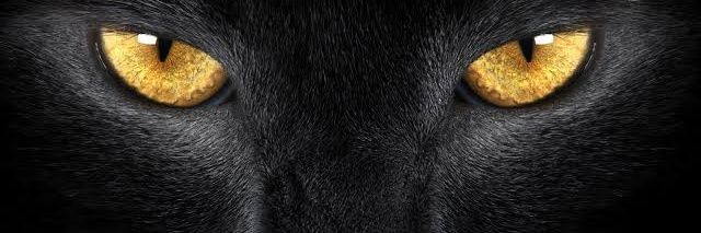 Elvanderr's profile banner image