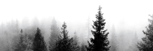 0xSariture Profile Banner