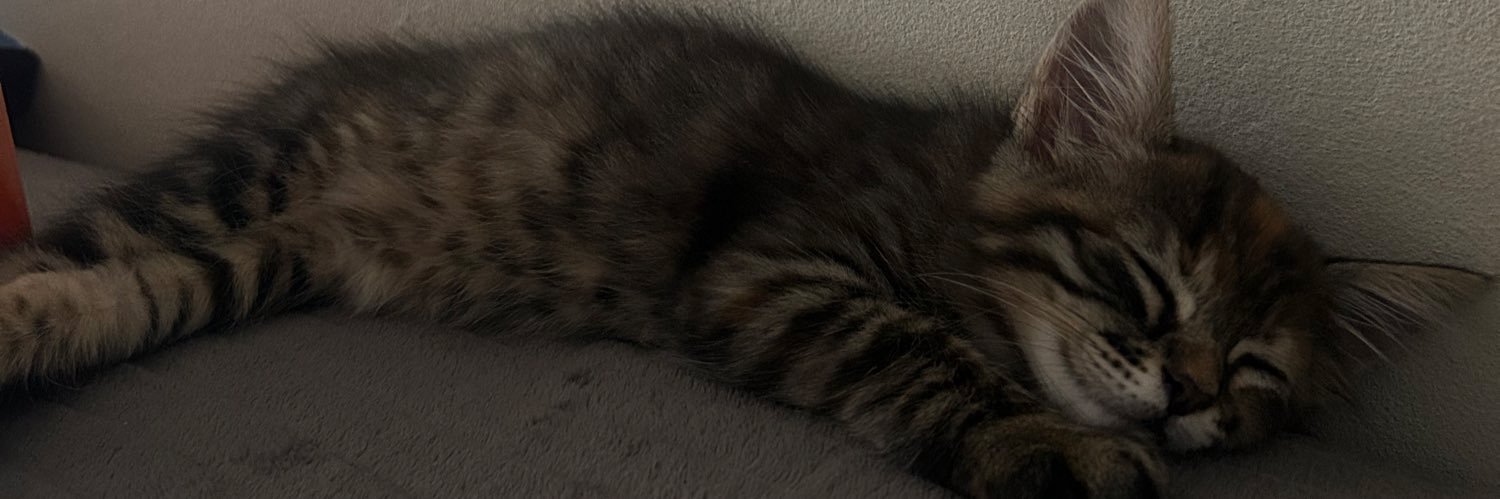 joanabxm's profile banner image
