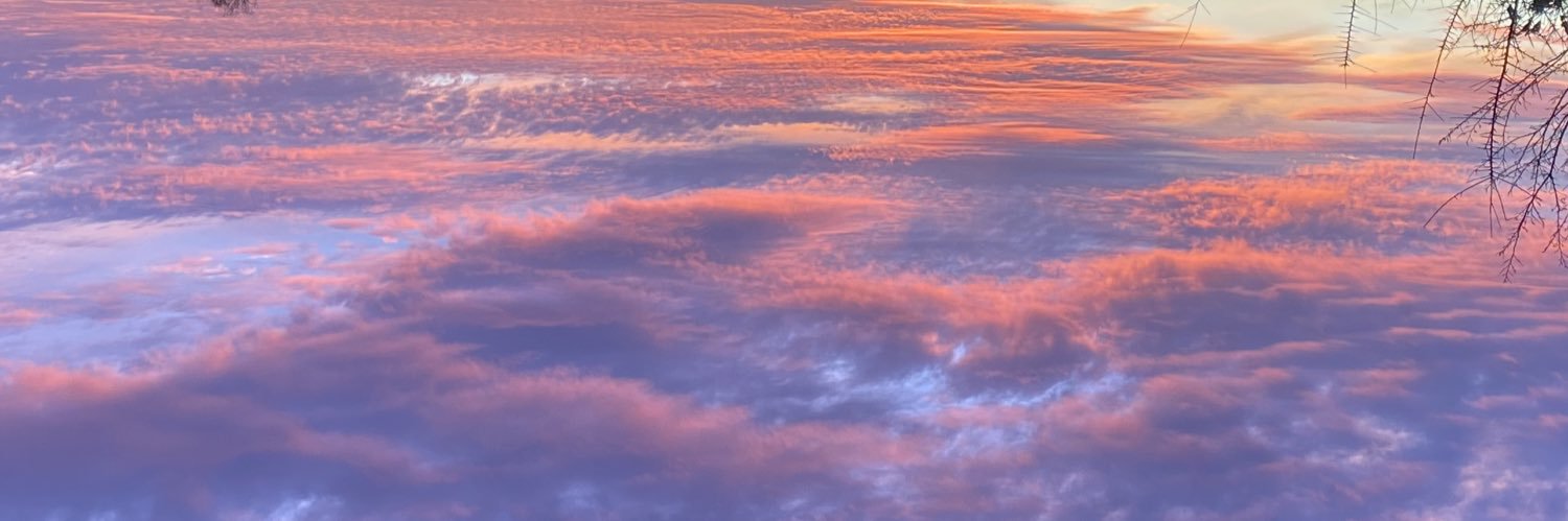 Jorge_Cook's profile banner image