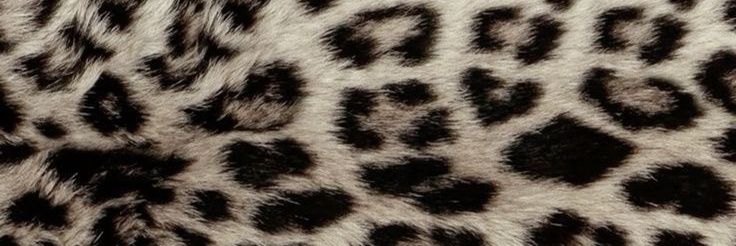 𝔣𝔞𝔯𝔦𝔰𝔥 banner