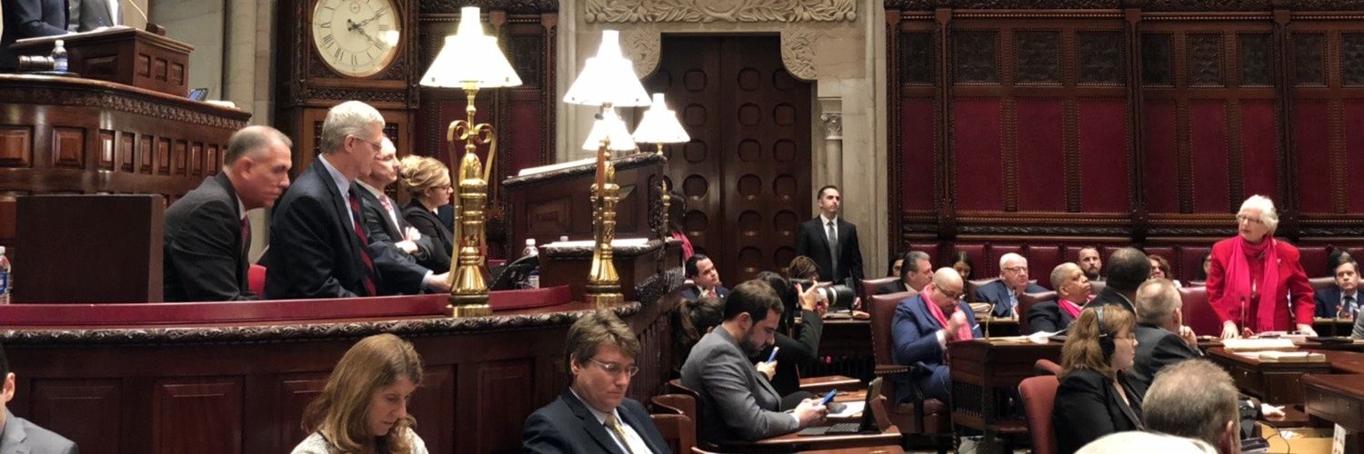 Toby Ann Stavisky banner