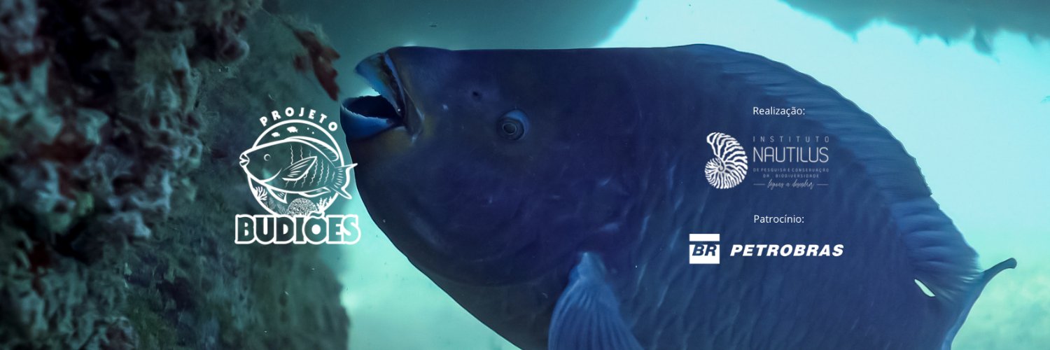 Projeto Budiões's banner