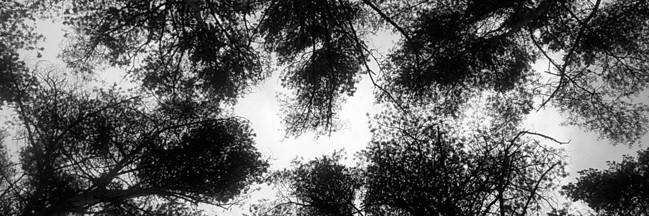 TriinKann's profile banner image