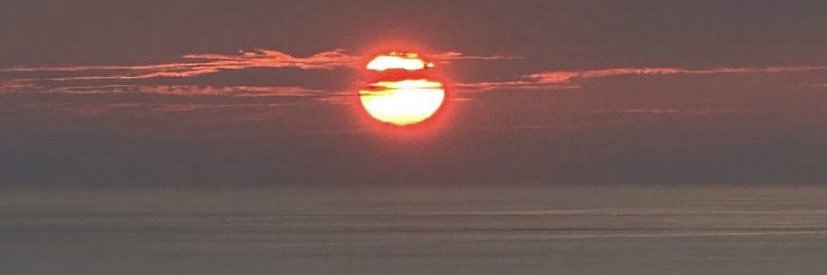 marie🧚‍♀️ banner