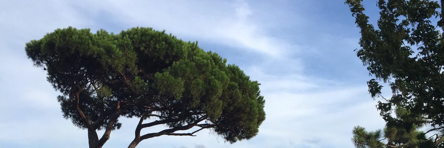 Duygotto's profile banner image