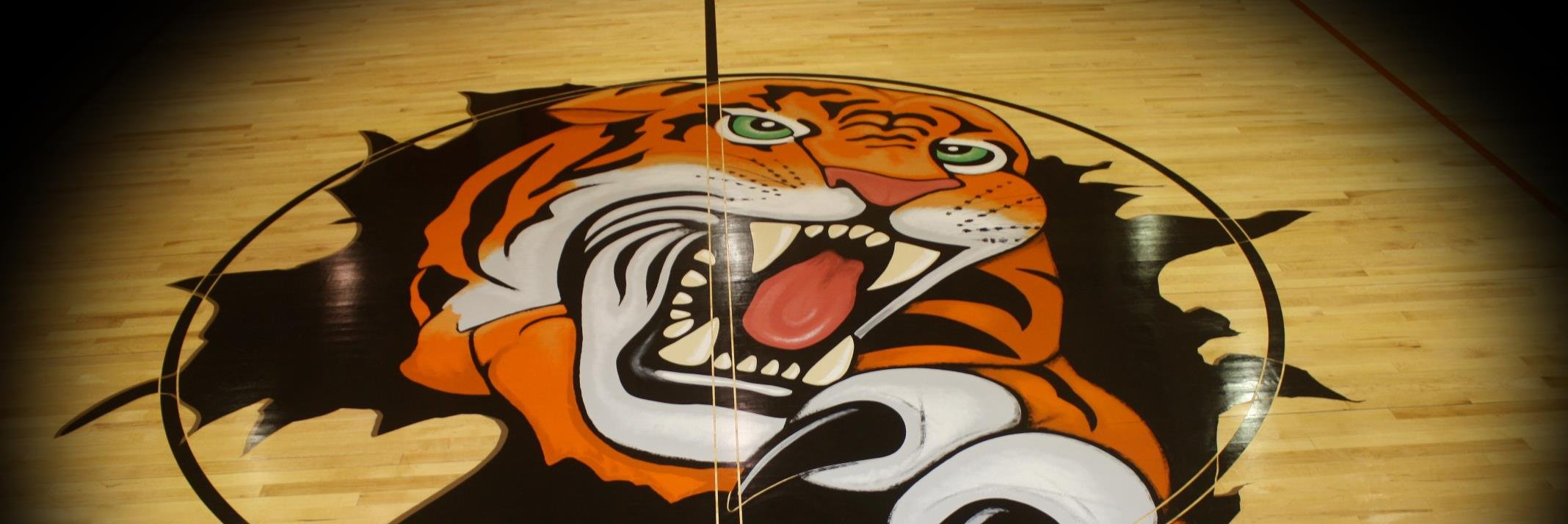 CHSTigerLibrary's profile banner image