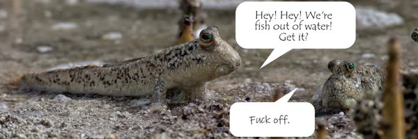 mudskipper says Mutual Aid Profile Banner