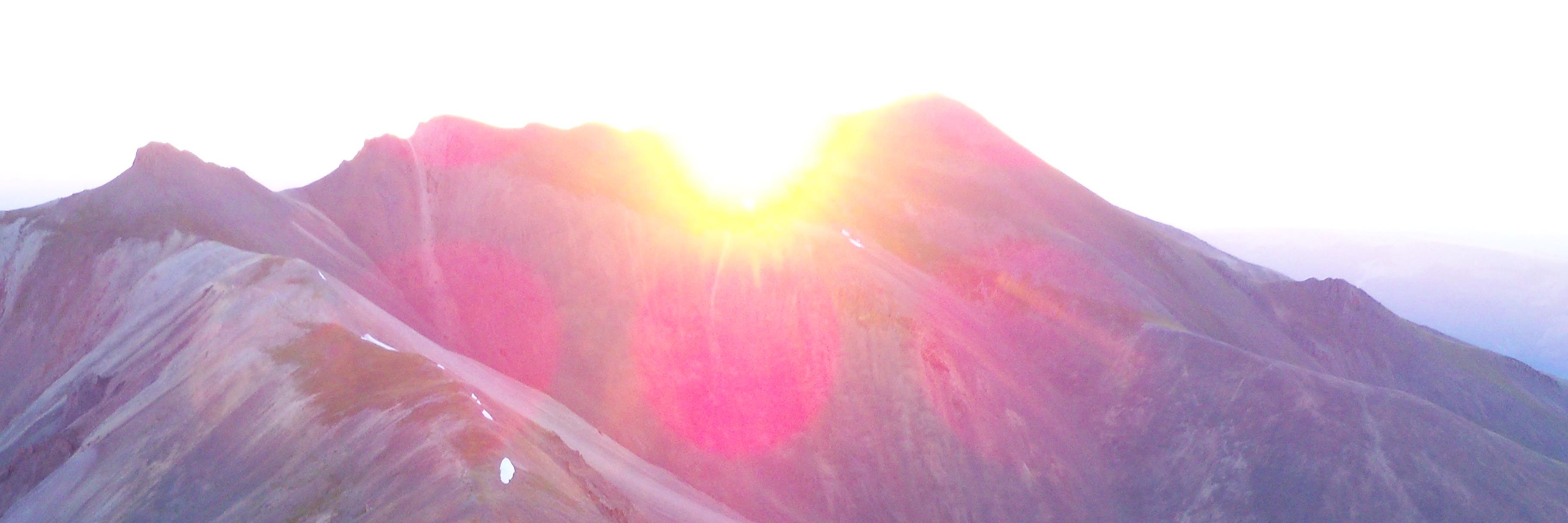 forestoney's profile banner image