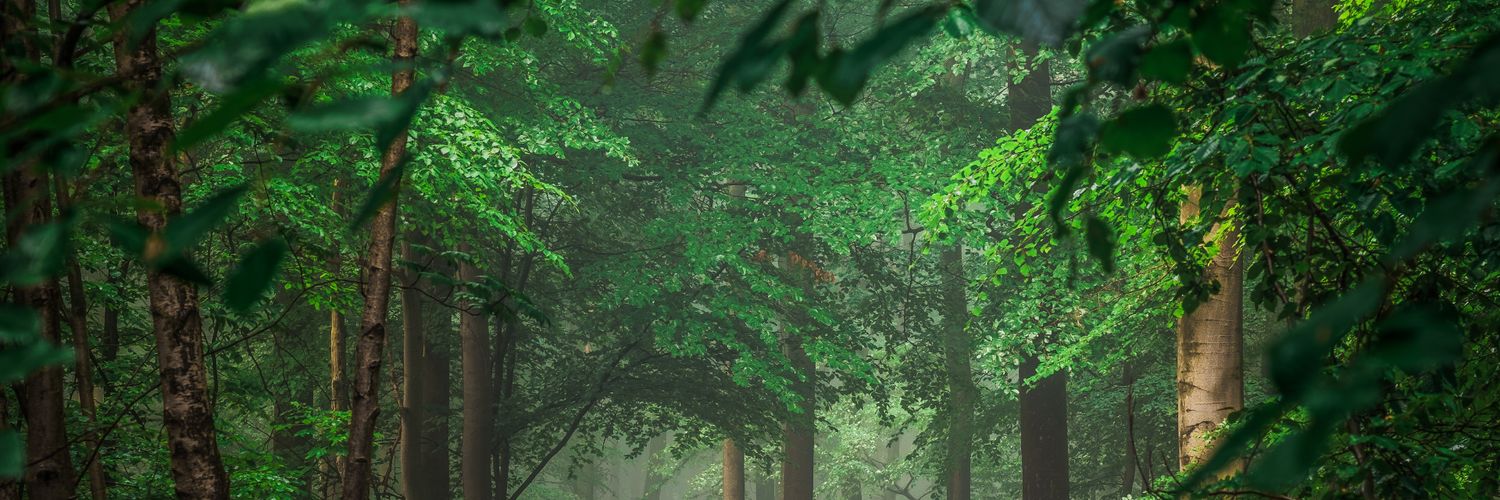 big_sleek's profile banner image