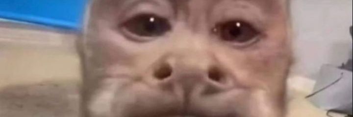 Liliberdugo's profile banner image