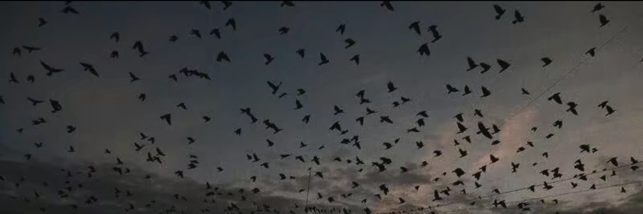 bryxekrispy's profile banner image