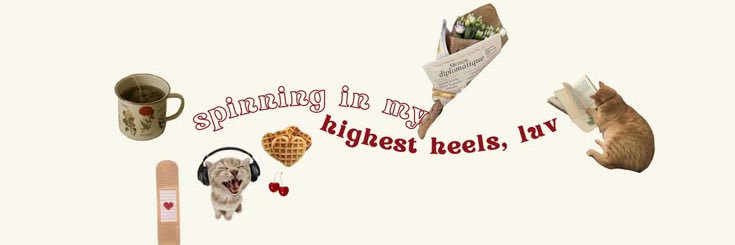 mbaklaut's profile banner image