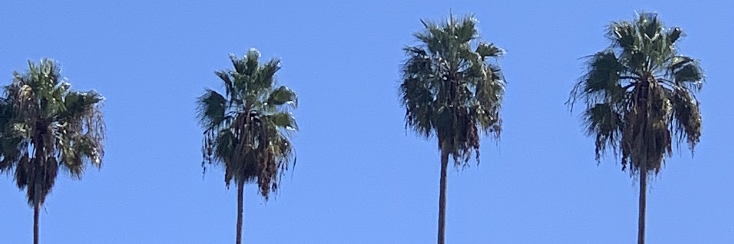 oop-oop-b-do banner