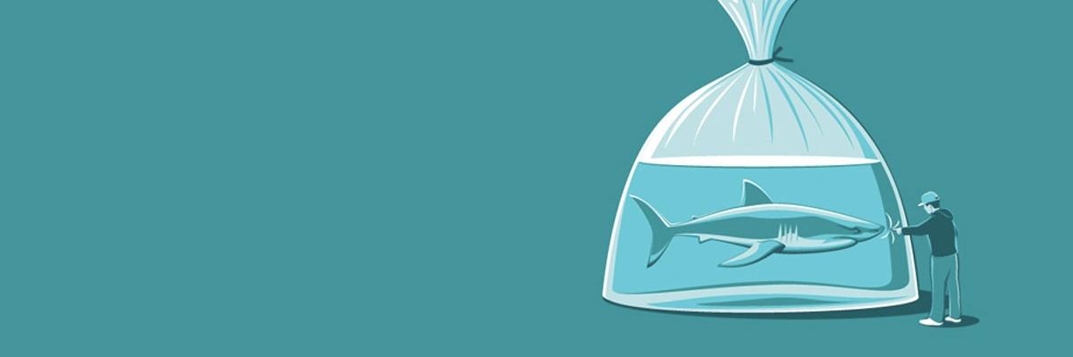 Sharkster718's profile banner image