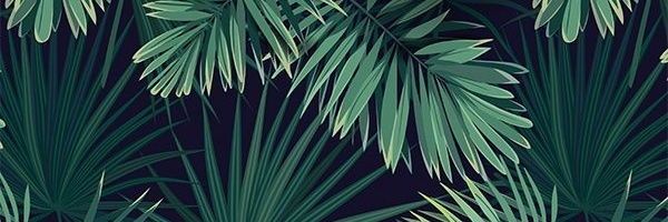 vastradamous's profile banner image
