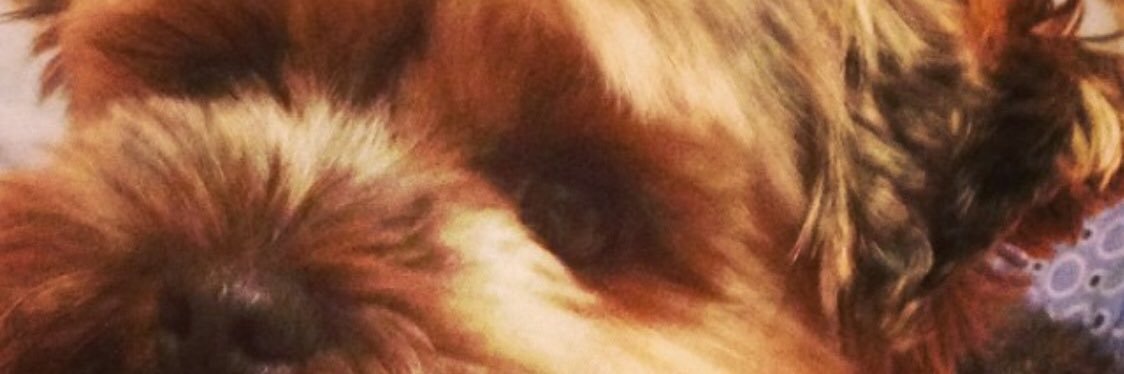 jeffc0618's profile banner image