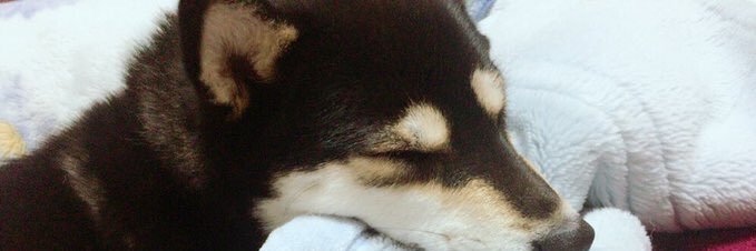str_wsDe's profile banner image