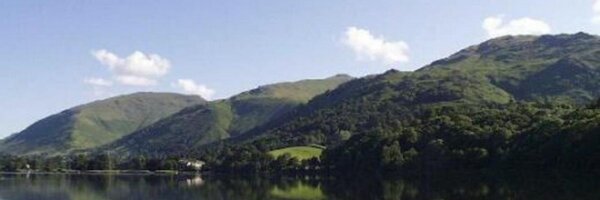 NurtureVGP Profile Banner