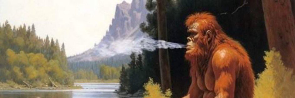 Noah ($8) banner