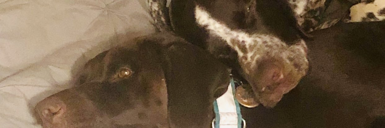 Philip Barton banner