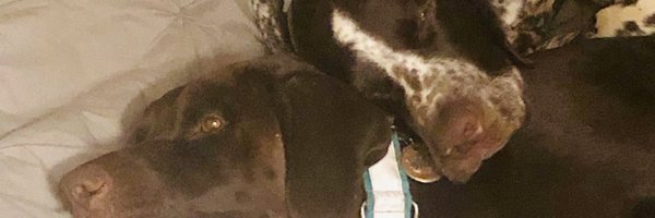 PhillyB84 Profile Banner