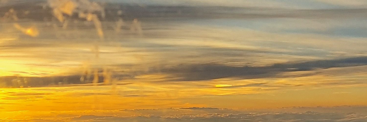 Rebecca P 🔆 banner