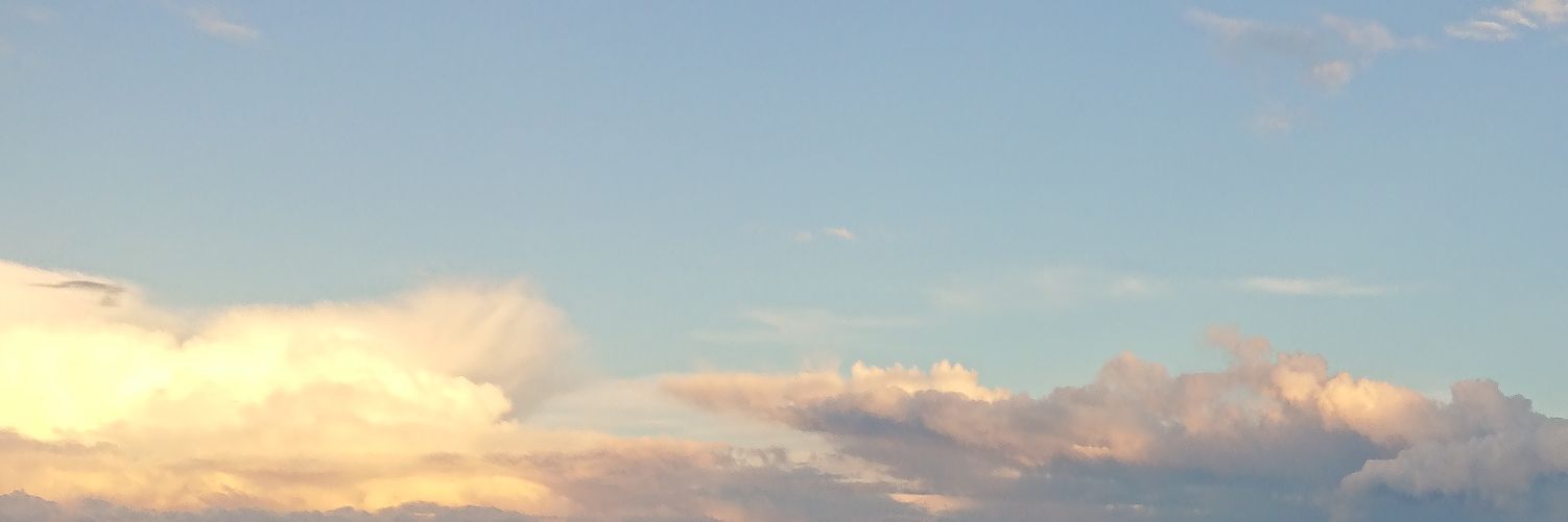 Dalicemk2's profile banner image
