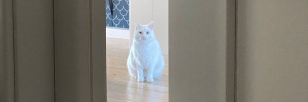 komashkov Profile Banner