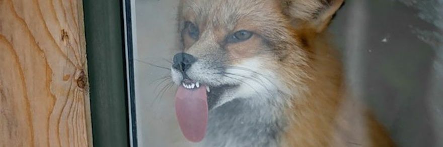DanielGomezL's profile banner image